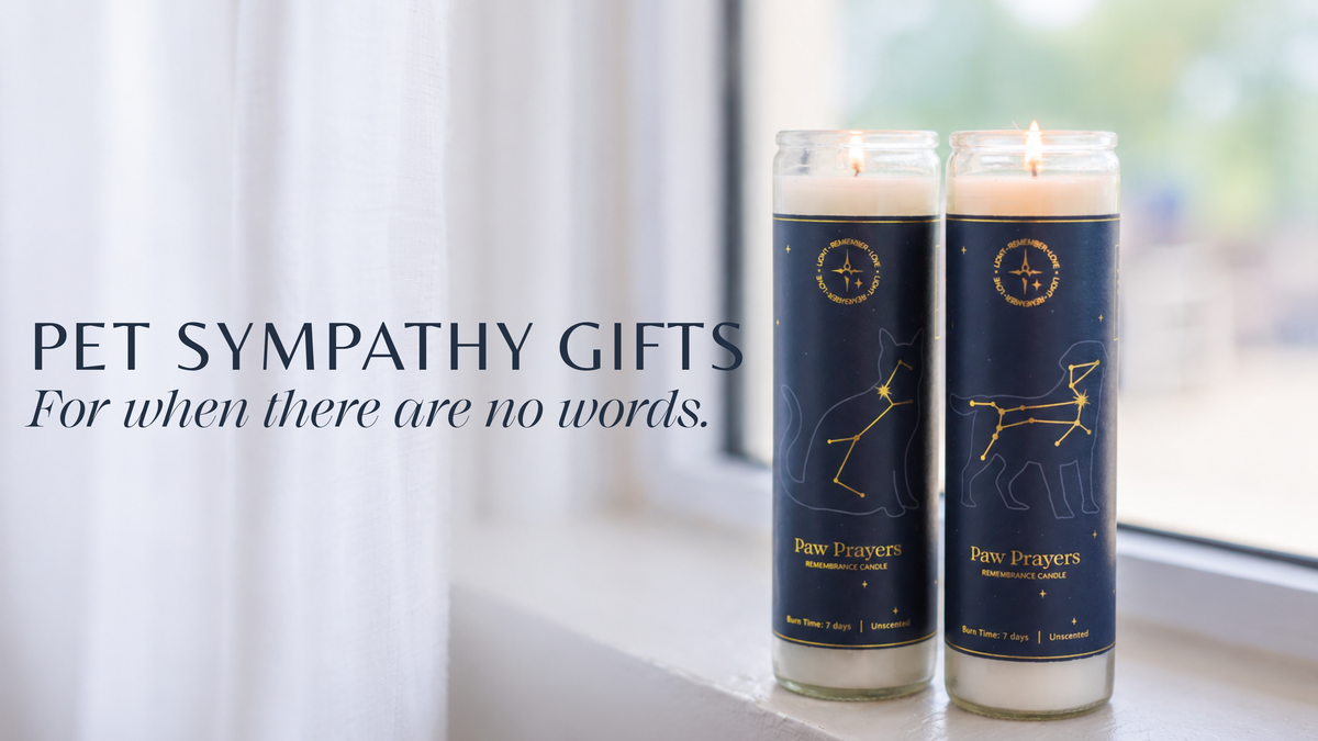 Two tall glass jar candles labeled 'Paw Prayers' sit on a windowsill with white curtains and a blurred outdoor background. Text on the left reads 'PET SYMPATHY GIFTS For when there are no words.