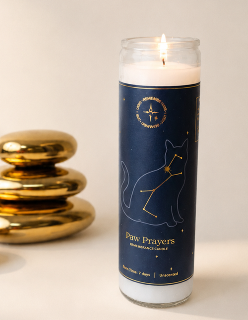 Paw Prayers Felis cat constellation memorial candle lit on a white backgournd.