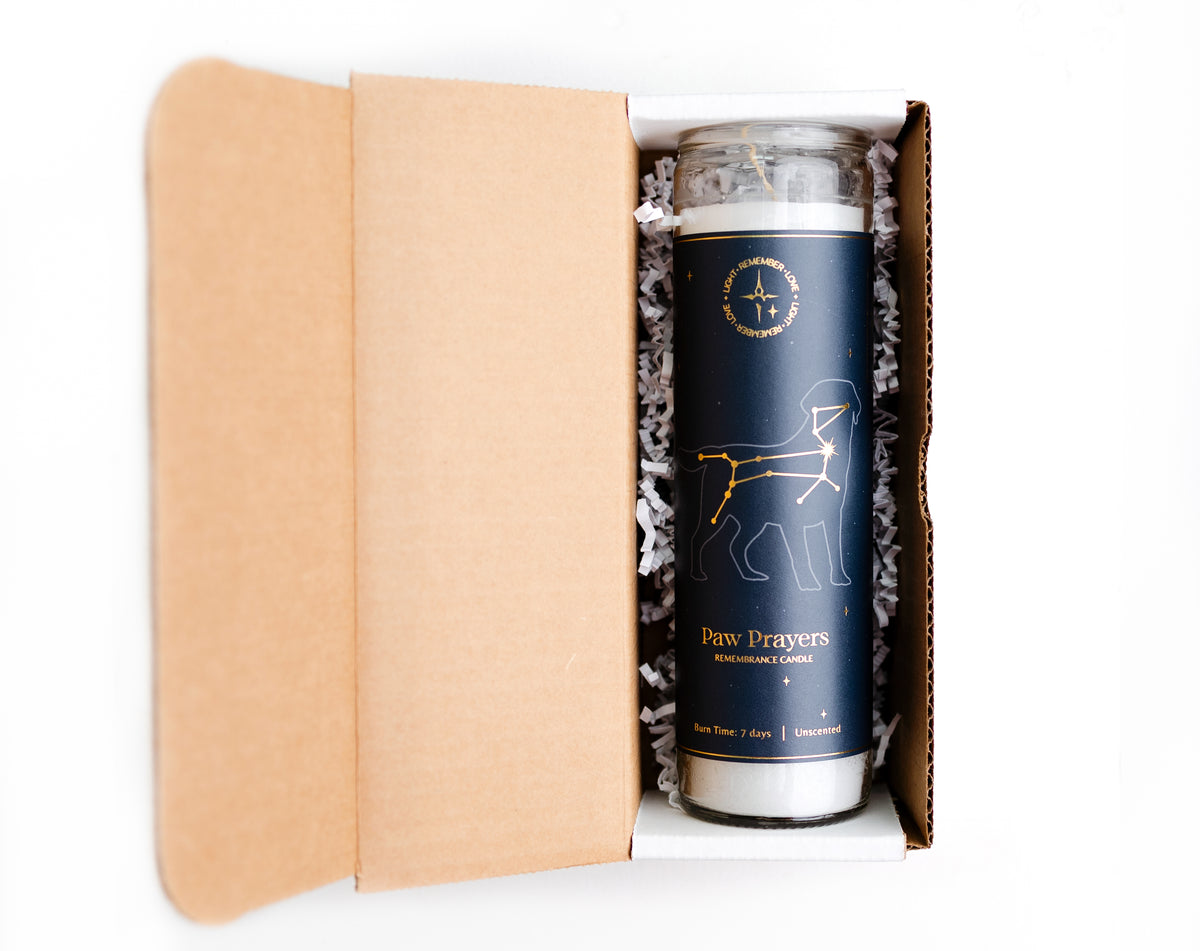 Paw Prayers Canis Major Constellation pet memorial candle in single candle packaging.